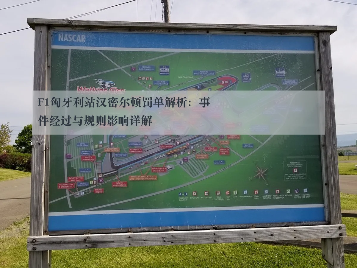 F1匈牙利站汉密尔顿罚单解析：事件经过与规则影响详解