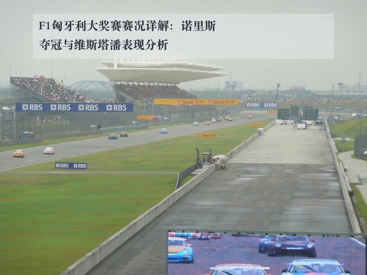 F1匈牙利大奖赛赛况详解：诺里斯夺冠与维斯塔潘表现分析