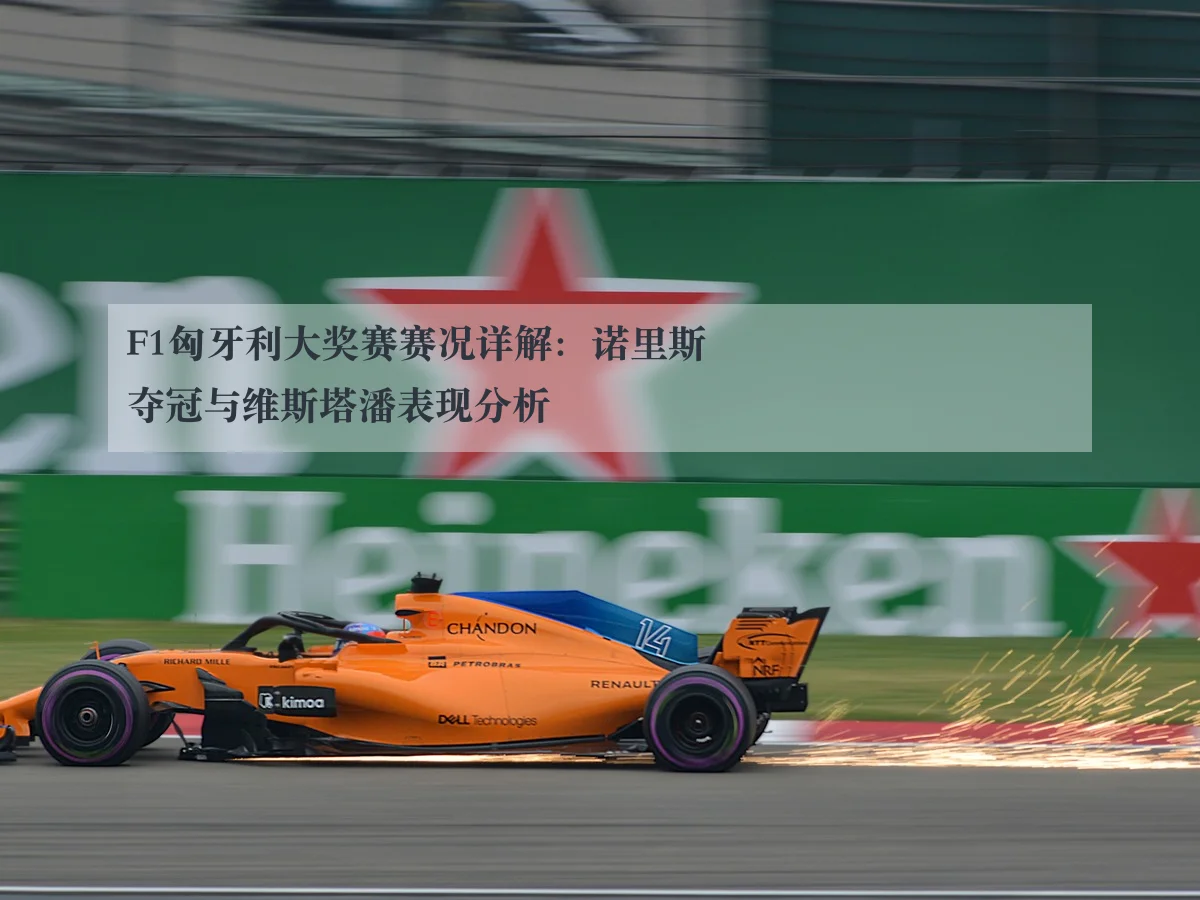 F1匈牙利大奖赛赛况详解：诺里斯夺冠与维斯塔潘表现分析