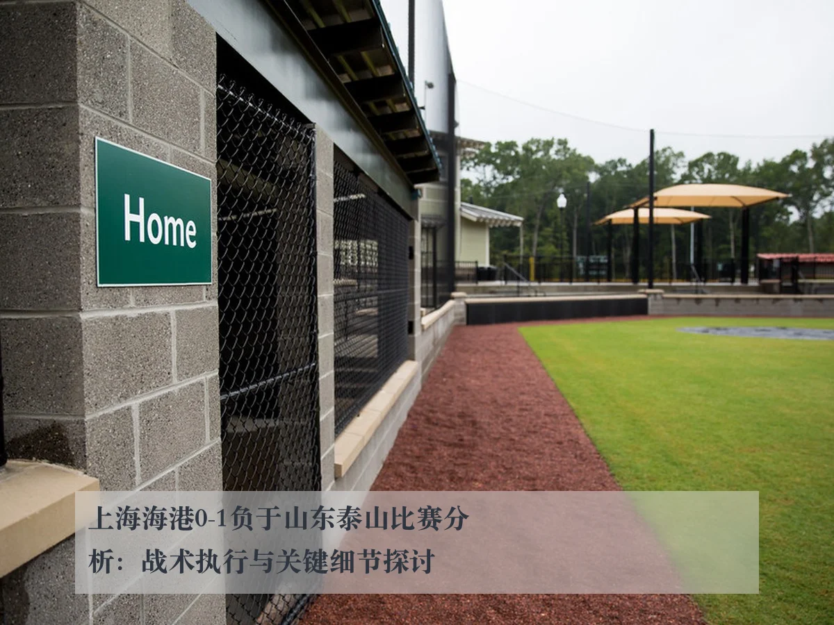 上海海港0-1负于山东泰山比赛分析:战术执行与关键细节探讨